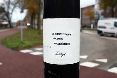 916133 Afbeelding van een sticker van 'Loesje' op een verkeerslicht aan de Vondellaan te Utrecht, ter hoogte van het ...